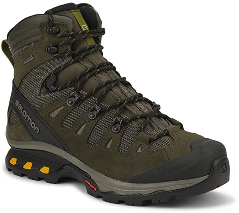 Salomon Men's Quest 4d 3 GTX